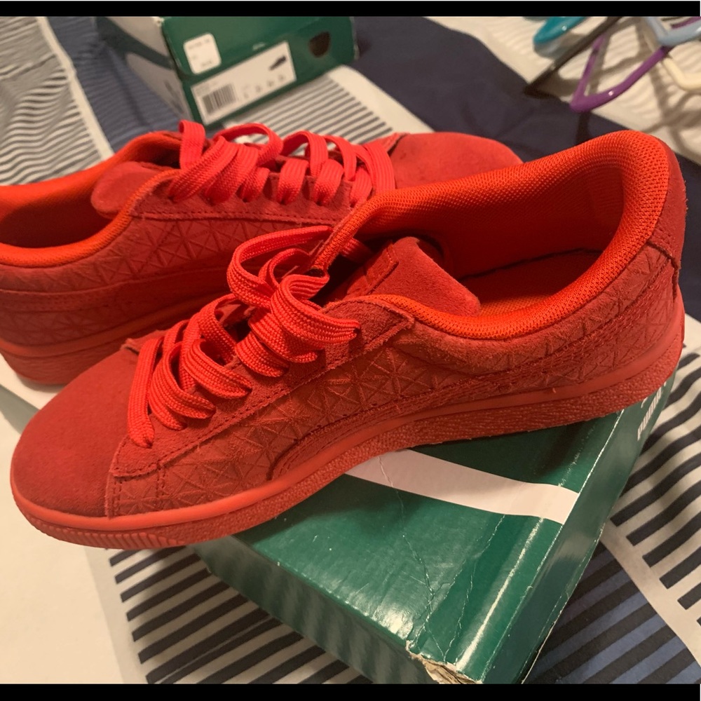 Pumas - Picture 2 of 3
